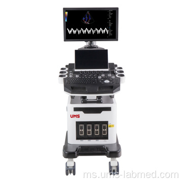 UW-T8 4D Color Doppler Ultrasound Machine